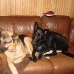 Kathy Prescott Parish - @kathyprescottparish - Instagram