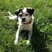 Kathy Parr - Facebook