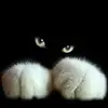 Kathy Parsons - @kathyparsons14 - TikTok