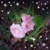 Kathy Patrick - Facebook