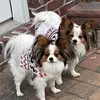 kathypeake657 - @kathypeake657 - TikTok