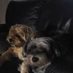 kathy peeters - @peeters.kathy - Instagram