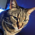 Kathy Peeters - @dktrsmp - Instagram