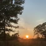 Kathy Peeters - Facebook