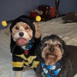Peggy Kathy - @peggykathy - Instagram