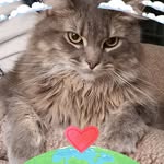 Kathy Pelland - @kathypelland - Instagram