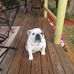 Kathy Penick - Facebook
