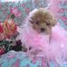 Kathy Pennock - Facebook