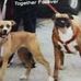 Kathy Pepper - Facebook