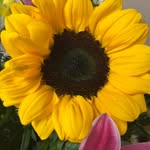 Kathy Pleasants - @kathypleasants - Instagram