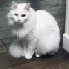 kathyspleasant - @kathy.s.pleasant - TikTok