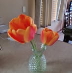 Kathy Plumb - Facebook