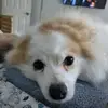 Kathy Pohl Cornett - @kathy.pohl.cornet - TikTok