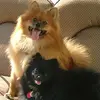 kathyvogelpohl - @kathyvogelpohl - TikTok