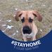 Kathy Wheeler Pointer - Facebook