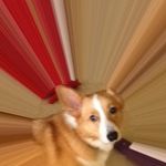 Kathy Pollock - @kathy.pollock.547 - Instagram