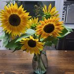 Kathy Pollock - @pollockathy - Instagram