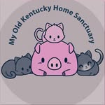 Kathy Polston Dalton @ My Old Kentucky Home Sanctuary - @myoldkentuckyhomesanctuary - Instagram