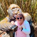 Kathy Fisher Pomeroy - @kfp1952 - Instagram
