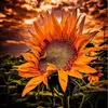 KATHY POSTELL - @kathy.postell - TikTok