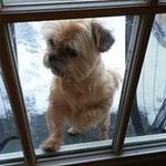 Kathy DeMarco Prichard - @prichard_kathy - Instagram