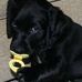 Kathy Priddy - Facebook