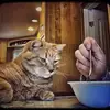 Kathy Priebe155 - @kathypreebster - TikTok