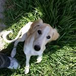 Kathy Prosser - @kathy.prosser.9 - Instagram