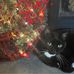Kathy Pucci - Facebook