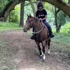 kathypyle5 - @kathypyle5 - TikTok