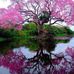 Kathy Quach - Facebook
