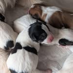 Kathy Rainford - @kathyrainford07 - Instagram