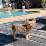 Kathy Raines Gentry - @kathygentry1955 - Instagram