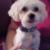Kathy Ralston831 - @kathyralston831 - TikTok