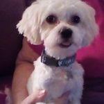 Kathy Ralston - @kathy.ralston.378 - Instagram