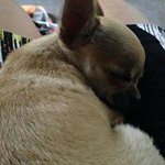 Kathy Ralston - @ralstonkathy - Instagram