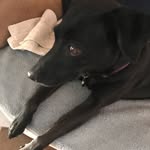 Kathy Raynor - @kathyklutz1 - Instagram