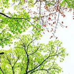 Kathy Read Hsu - @hsus_worship - Instagram