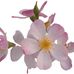 Kathy Gallagher Redding - Facebook