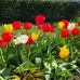 Kathy Redding - Facebook