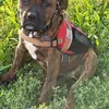 Kathy Reel - @kathy.reel - TikTok