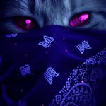 Kathy Reel - @kathyreel19541977 - Instagram