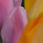 Kathy Rempe - Facebook
