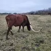 kathyritchey6 - @kathyritchey6 - TikTok