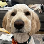 Kathy L. Ritchie - @kathyl.ritchie - Instagram