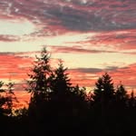 Kathy Nardone Roach - @kathy.roach.7 - Instagram