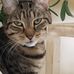 Kathy Roach - Facebook