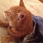 Kathy Roach McMillen - @kathyroachmcmillen - Instagram