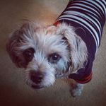 Kathy Robison - @kathyrobison65 - Instagram