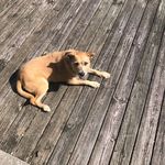 Kathy Robison - @bella89633 - Instagram